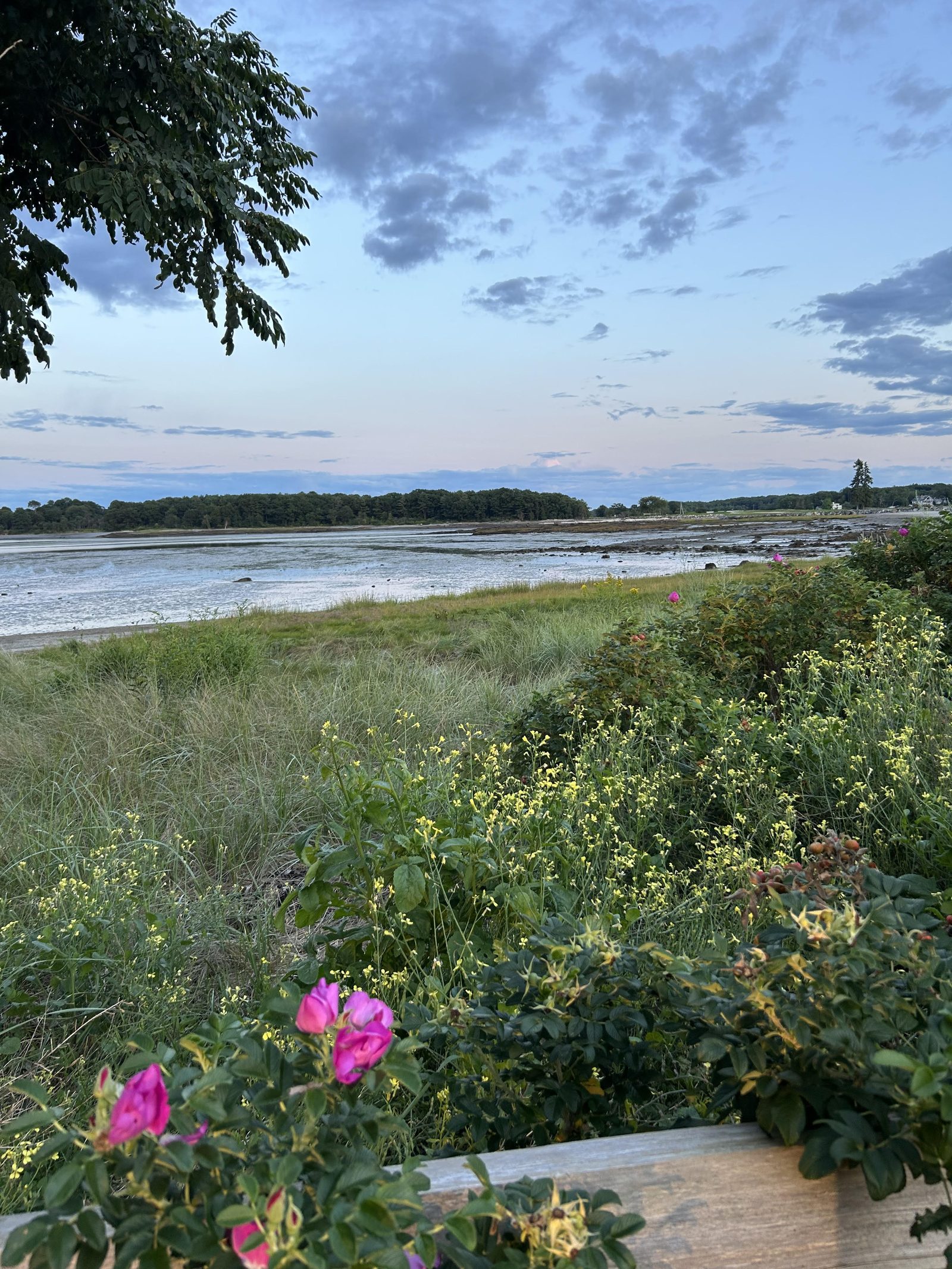Coastal edge at dusk